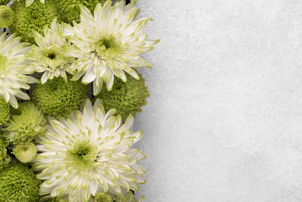 top-view-beautifully-colored-flowers-with-copy-space_23-2149005585.jpg top-view-beautifully-colored-flowers-with-copy-space_23-2149005585.jpg