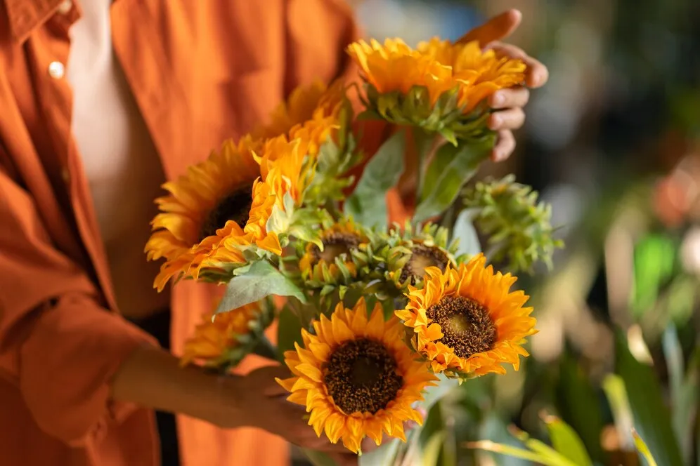 front-view-woman-with-sunflowers_23-2150392039.jpg front-view-woman-with-sunflowers_23-2150392039.jpg