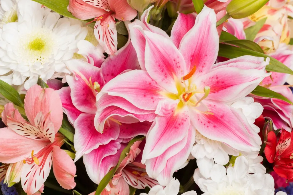 gorgeous-arrangement-flowers-background_23-2149057033.jpg gorgeous-arrangement-flowers-background_23-2149057033.jpg