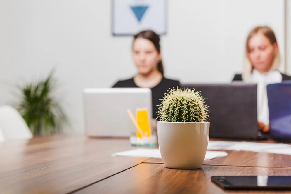 cactus-office-table_23-2147650827.jpg cactus-office-table_23-2147650827.jpg