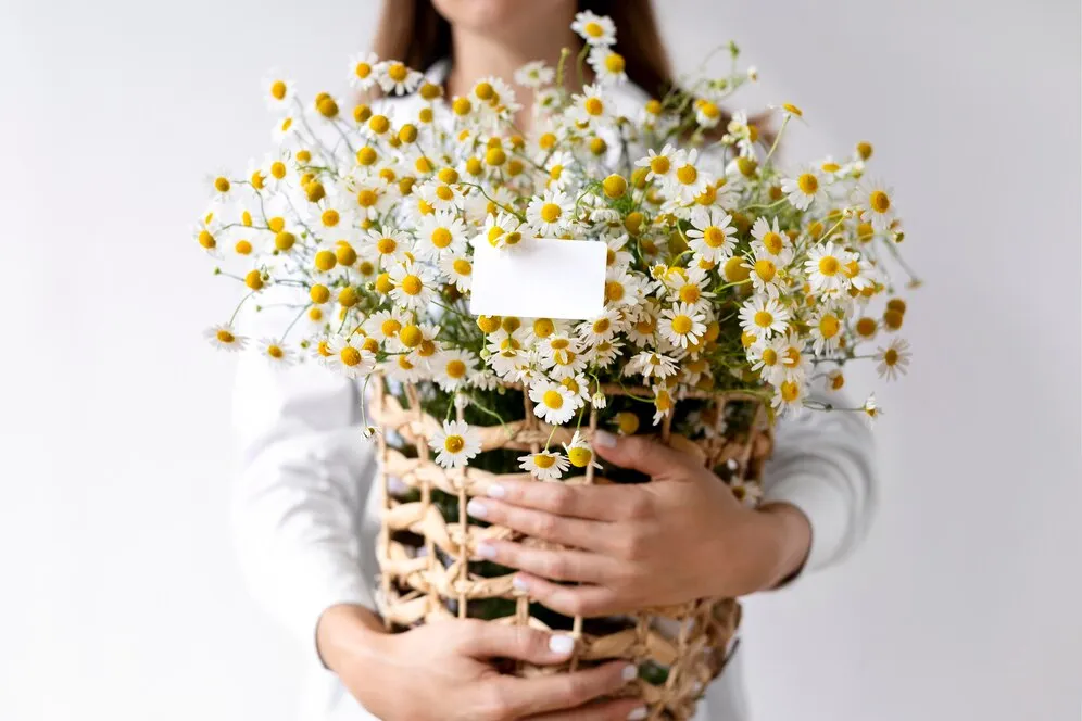 hands-holding-basket-with-flowers-close-up_23-2149053746.jpg hands-holding-basket-with-flowers-close-up_23-2149053746.jpg
