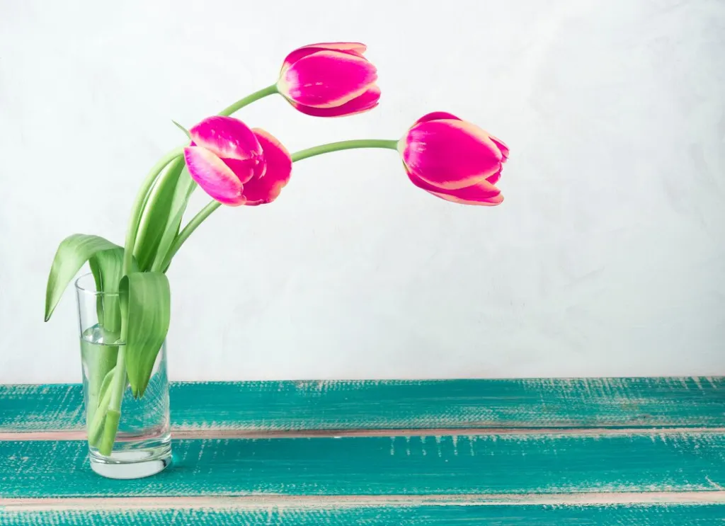 pink-tulips-glass-vase-table_23-2148103176.jpg pink-tulips-glass-vase-table_23-2148103176.jpg