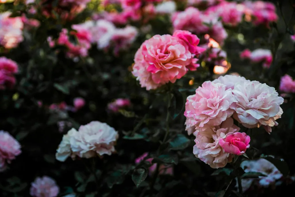 heads-amazing-flowers-shrub_23-2147829211.jpg heads-amazing-flowers-shrub_23-2147829211.jpg
