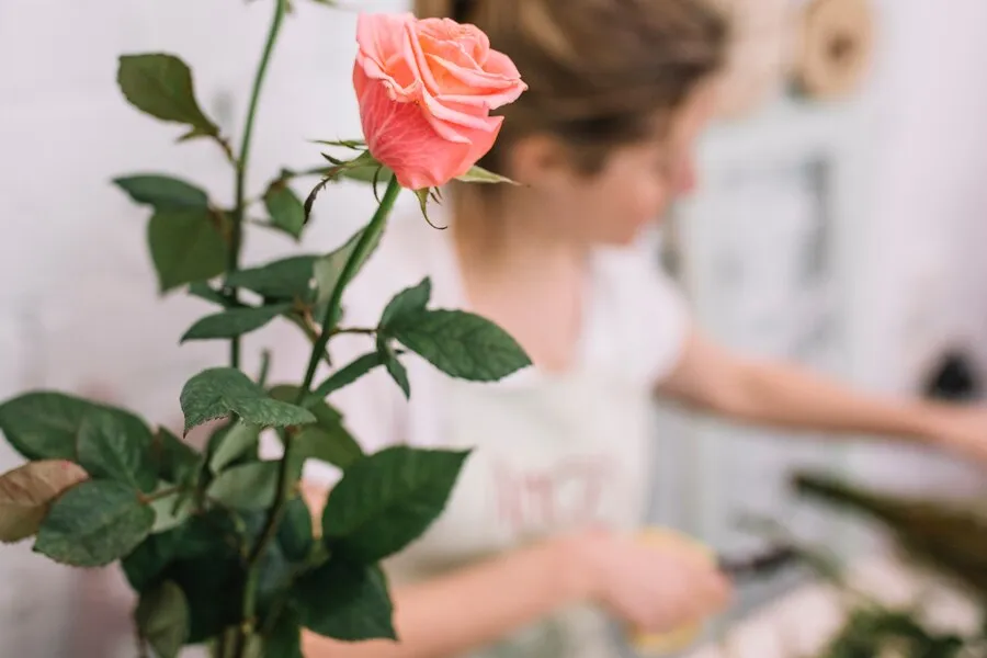 close-up-flower-florist-shop_23-2147761066.jpg close-up-flower-florist-shop_23-2147761066.jpg