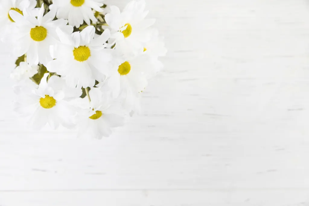 overhead-view-daisy-bouquet-wooden-backdrop_23-2148048401.jpg overhead-view-daisy-bouquet-wooden-backdrop_23-2148048401.jpg