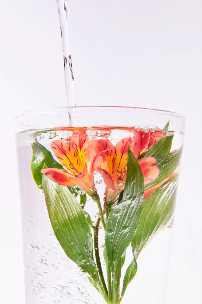 orange-flower-glass-water-with-ink_23-2149372230.jpg orange-flower-glass-water-with-ink_23-2149372230.jpg