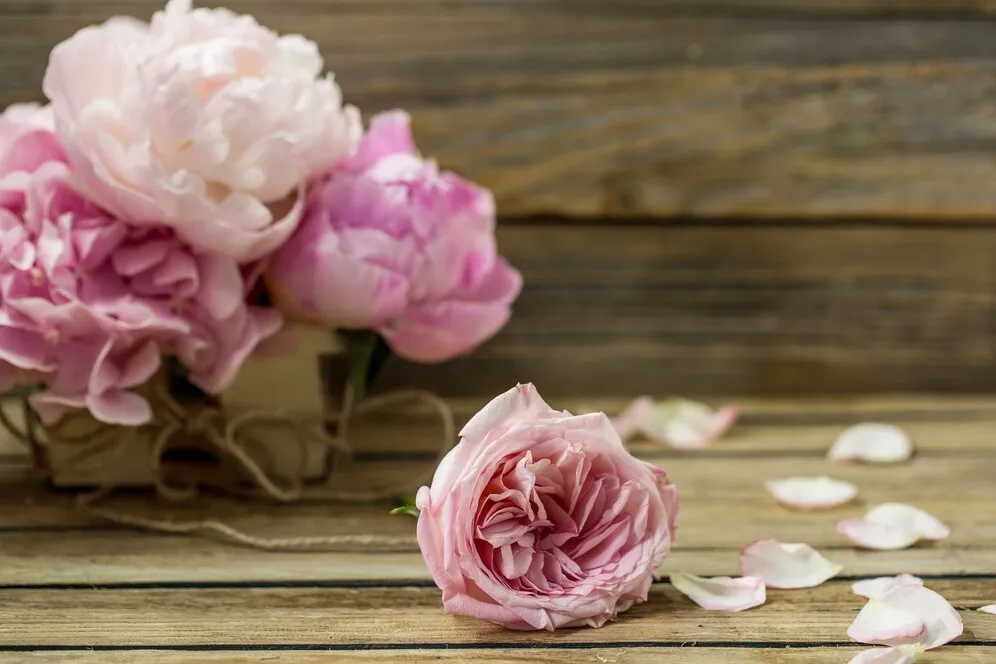 beautiful-fresh-flowers-wooden-background-various-flowers-place-text-closeup_169016-4896.jpg beautiful-fresh-flowers-wooden-background-various-flowers-place-text-closeup_169016-4896.jpg