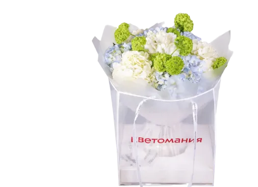 Новинки