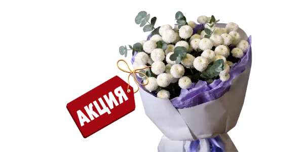 Акции